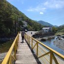 들살이오토캠핑장 이미지