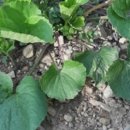 청강수천 이미지