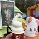 POP&캘리그라피 | 설 연휴 경주월드 다녀온 하루🎡 아이스크림부터 눈썰매, K-POP 공연까지 알차게 놀고 온 후기