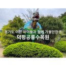 경기도 이천 마장면 아이들과 가볼만한곳 덕평공룡수목원(다이노벨리) 주차 먹이주기 관람후기 포토존