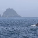 제주 아모제 이미지