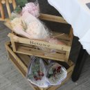 플로마리 이미지