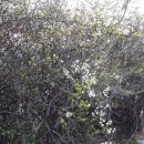 숯골농장 이미지