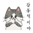 캣살롱코코 이미지