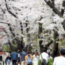 펀앤해피펜션 이미지