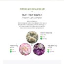 솔코스메틱