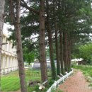 수백초등학교 이미지