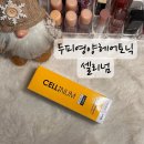 썬헤어라인 이미지