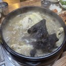 미가꼬끼요 이미지