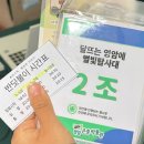 반딧불이 | 무료였어도 아쉬웠던 2025 영암반딧불이축제 리얼후기