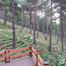 산청전통한방휴양관광지 이미지