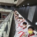 용인대누리태권도장 이미지