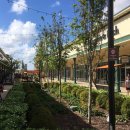 The heartwood | 미국 조지아 사바나, 풀러vs리치몬드힐 어디에 살까?