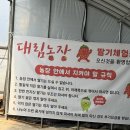 해나농장 | [아이랑] 안산 대림농장 경기 근교 아이와 함께 가기 좋은 딸기농장체험 방문 후기