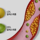 블레어필라테스