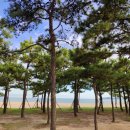 후포 알칼리온천 찜질방 이미지