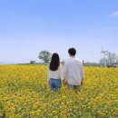 단위농협사거리(농협앞) | 안성가볼만한곳, 농협 안성팜랜드 4월 국내여행지 추천