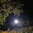 동부레기 막창 이미지