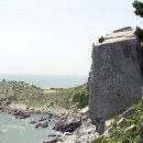 대변항2 이미지