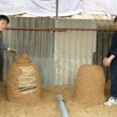 김종문농장 이미지