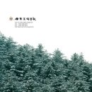 김천고등학교 이미지