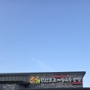 강산포조개칼국수보쌈 네이버블로그