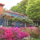 선녀와 나무꾼의 힐하우스 이미지