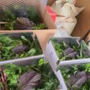 안호농장 이미지