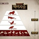 흙속의진주 이미지