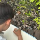 모아미술학원 이미지