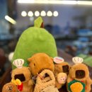 오렌지뽑기방 이미지