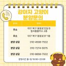 창녕홈 | 창녕강아지분양 괜히 계속 생각났던 후기