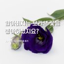 [현진시닝 장례후기] 할아버지는 보라색 꽃을 좋아하시지요?