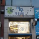 파우 동물병원 이미지