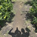 한라앤탐 이미지