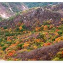 제일고 앞 버스정류장 옆 이미지