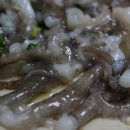 갯벌낙지 이미지