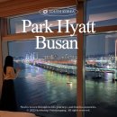 호텔25시 더파크서면점 | 파크하얏트 부산 오션전망 스위트룸 광안대교 해운대 5성급 호텔 추천