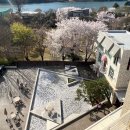 우만리나룻터강변하우스 | 연인과 친구끼리 실패 없는 데이트 코스 : 서종 카페 추천 12곳