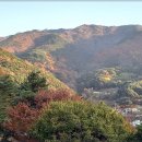 창녕펜션에서 즐긴 힐링 여행, 비슬산풍경펜션 숙박 후기