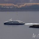 포항~울릉 대체선 &#39;썬라이즈호&#39; 투입…12월9일부터 이미지