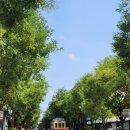 대가마트 이미지