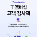 화신로-12 이미지