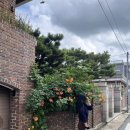 신전떡볶이(운천점) 이미지