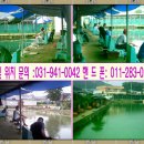 작은연못낚시터 이미지