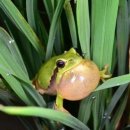 구로-구로-구로-2635 이미지