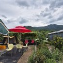 대창농원 이미지