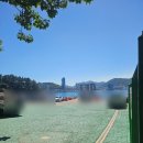 GS25 여수한려점 | 6살아이랑 여수여행 (3) - 오동도(동백열차), 한려햄버거