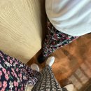 스테이 서하 이미지