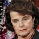 (주)게임브레인 이미지